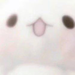 Themepro主题店铺